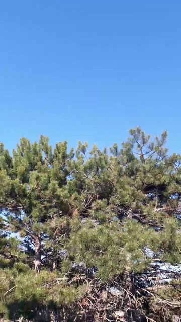 Ветерок сегодня прохладный...