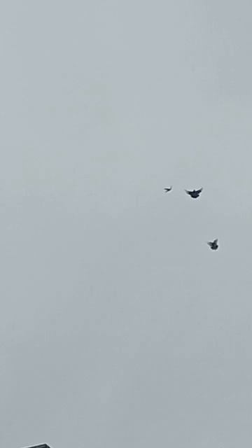 26 апреля дождик