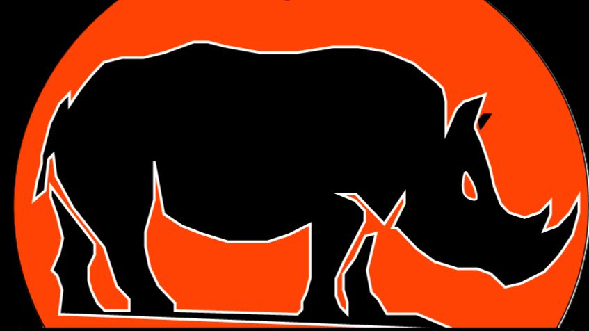 Дефектовка рохли