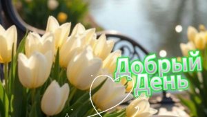 Добрый день: красивые музыкальные открытки и пожелания | Домохозяйка