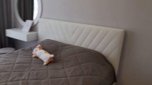 Новостройки Перми. ЖК Беляева 17