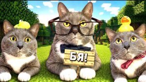 Kotiynet — 3 сезон, 47 серия. | 12+