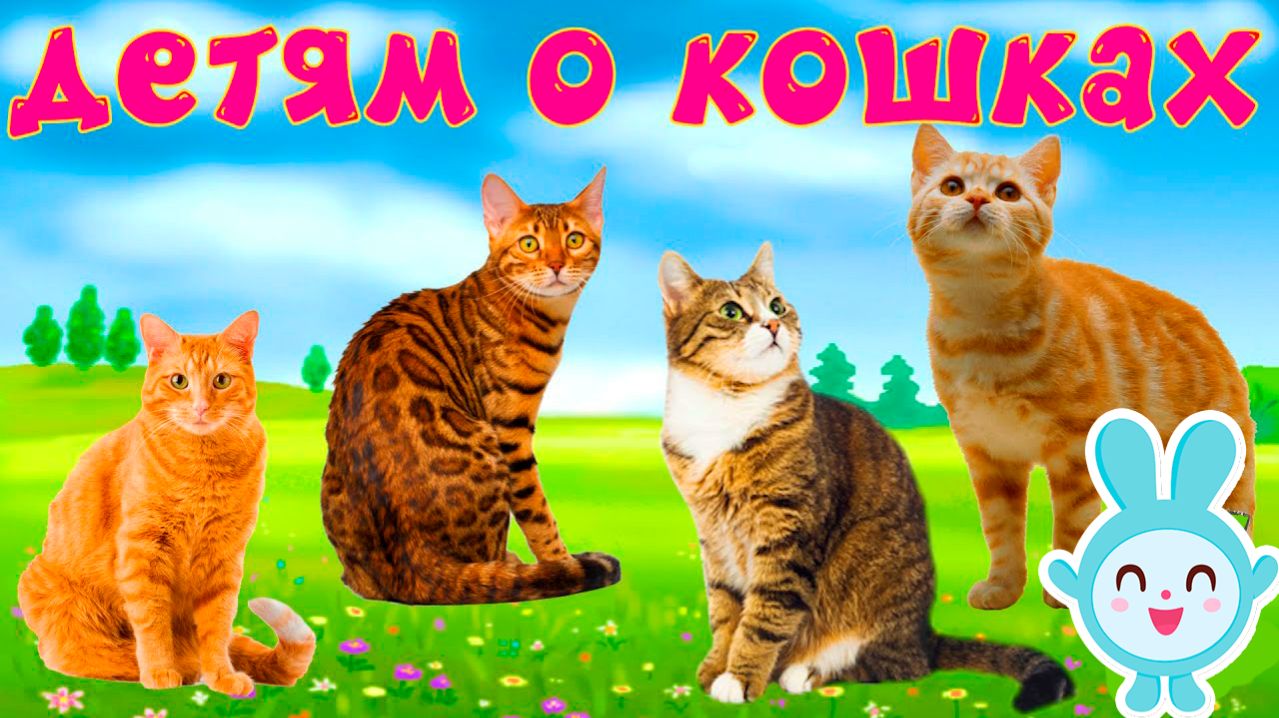 Кошки и их звуки для детей | Развивающий мультик о кошках | Детям о кошках