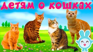 Кошки и их звуки для детей | Развивающий мультик о кошках | Детям о кошках