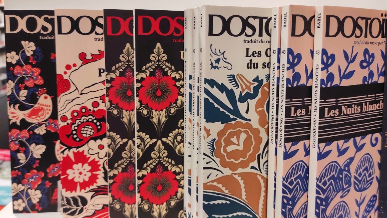 Книжные сокровища! Влог 😍📚🇫🇷🇷🇺