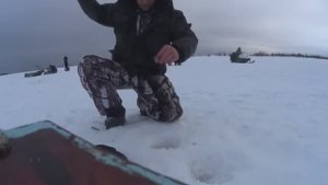 ПО ПОЛНОМУ МЕШКУ! ЗА КОРЮШКОЙ С ОЛЕГОМ! КЛЕВАЛА КАК БЕШЕННАЯ!