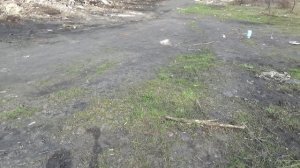 Под бидом тестим топ мощных петард!