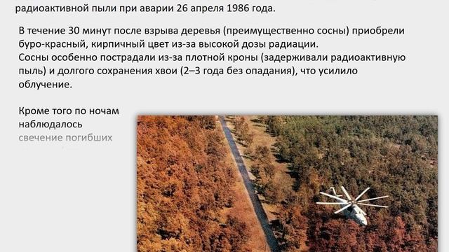 День участников ликвидации последствий радиационных аварий и катастроф.