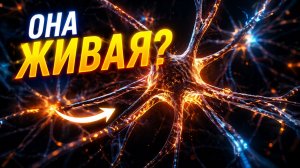 Она напоминает мозг. Что-то очень странное нашли в структуре космоса...