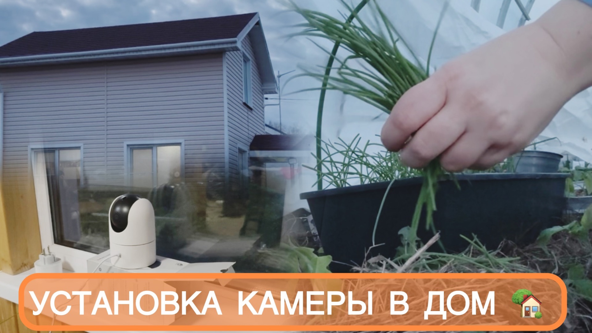 🟣ПРОДОЛЖАЮ ВЫСАЖИВАТЬ В ТЕПЛИЦУ 🏠КАМЕРА В ПОМОЩЬ🪴ПЕТУНЬЯ НА ГРЯДКАХ 🌺