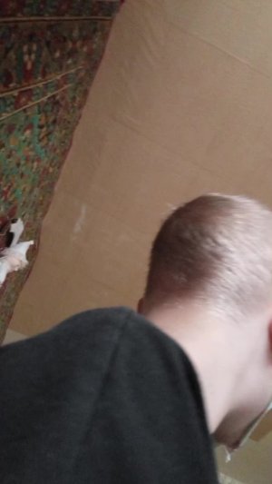 учим азбуку морзе