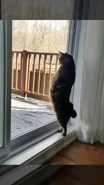 Когда уже весна?