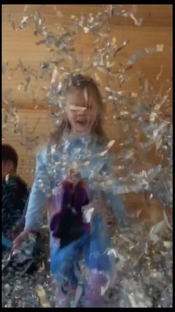 Эльза Серебряное шоу, аниматоры сочи