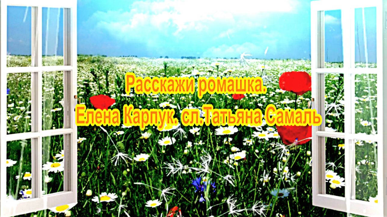 Расскажи ромашка. Елена Карпук. сл. Татьяна Самаль.