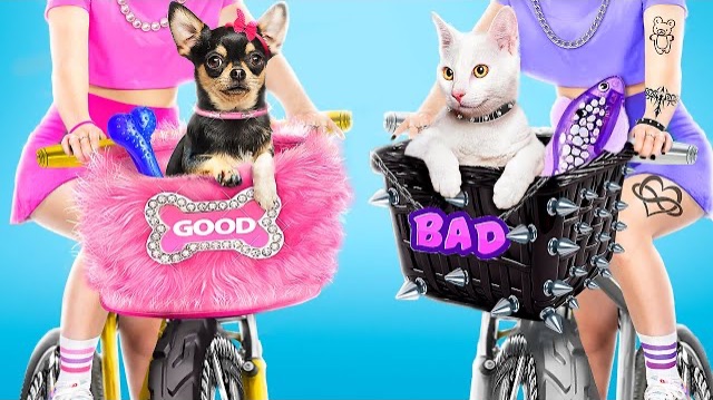 Хорошая собака Vs плохая кошка! Мы построили домики для домашних животных