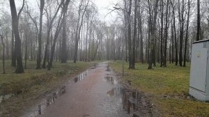 Погода на 26 апреля 2026 года парк Есенина