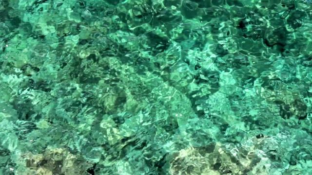 Сыгрегендешские кошмары