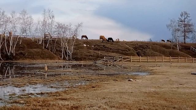 ВЕСНА | Николай Артемьев