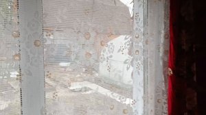 На дачу родители приехали