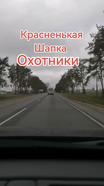 Красная шапка. Охотничий совет. Автор_ст_Надежда_Плотникова_#музыка_#веселаяпесня_#длянастроения