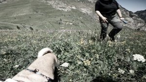 Северная Осетия