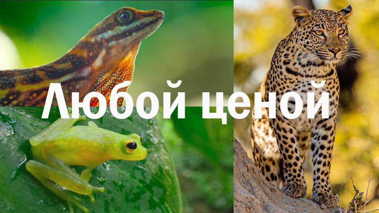 Любой ценой Тактики выживанияот которых мурашки по коже