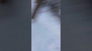 ИЩЕМ СЛЕНДЕРМЕНА