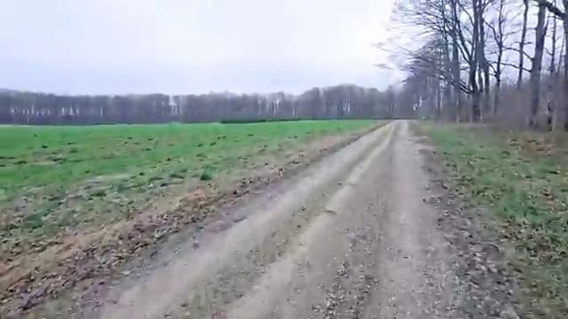 ЖИЗНЬ В АМЕРИКАНСКОЙ ДЕРЕВНЕ