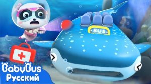 🍿Автобус-китовая акула! | Кики и его друзья🪼