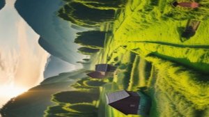 Звук природы. Кошачий пересмешник поёт ранним утром на селе