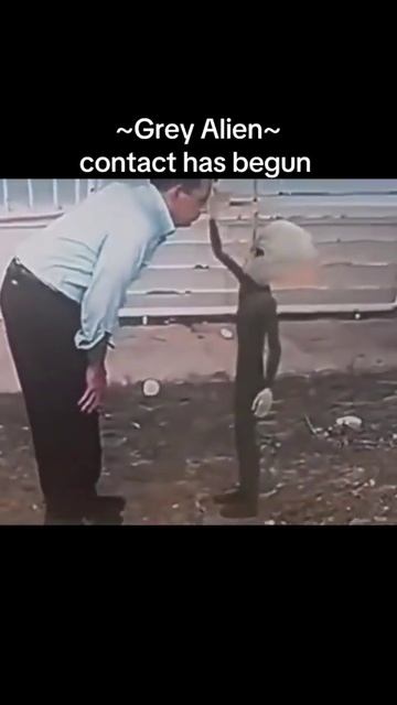 Видео контакта с серыми пришельцами