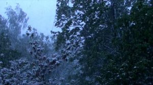 Братья по Разуму - Отличный (альбом-сборка 2024)