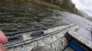 клюёт Хариус и Ленок