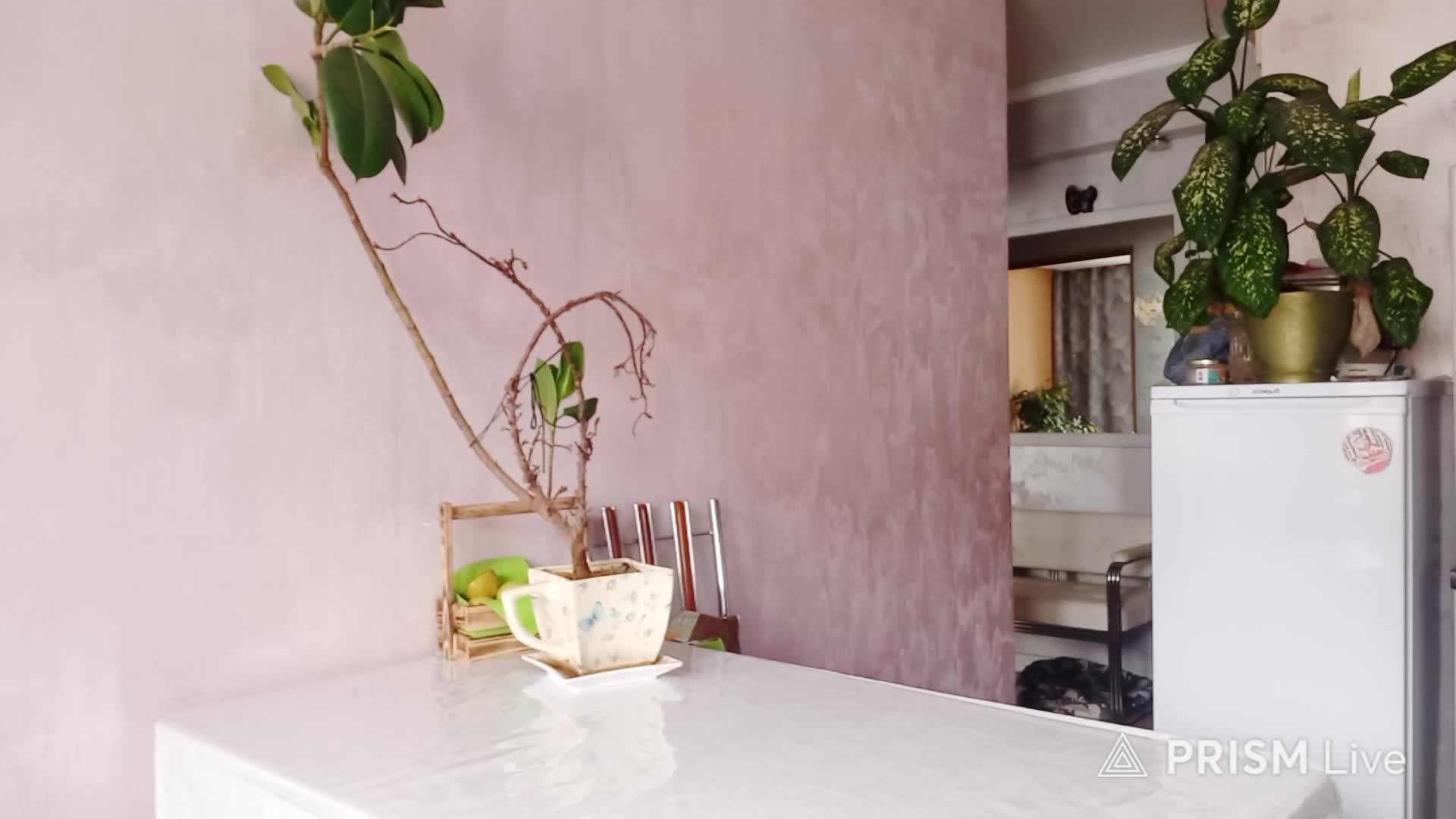 Тайные знаки: цыгане, гадания и вещие сны в моей жизнидай