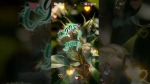 доброе утро !🐾😻🐾❤️