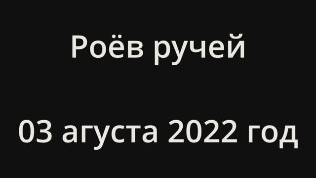 Роев ручей 2022. Парк.