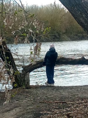 трансляция