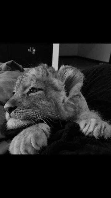 урааав, новинки🩷🩷🩷