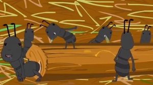 муравьиное безумие 🤣