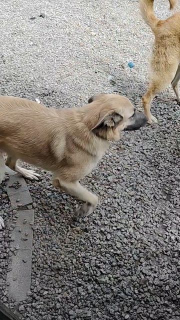 Говорят выходные созданы для отдыха!  Это время, когда можно никуда не спешить и просто наслаждаться