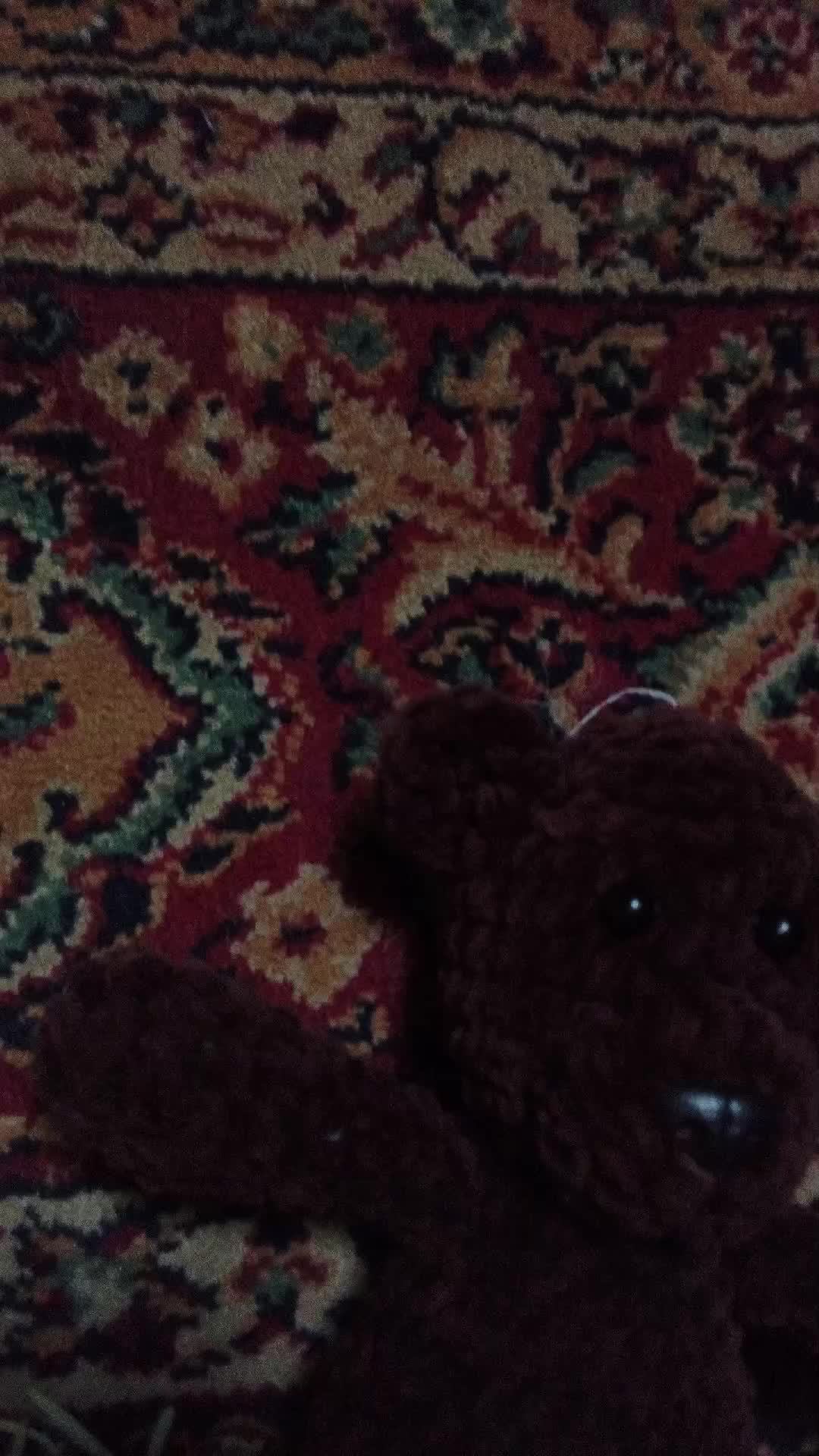 Я играю в сайте на на дусяка это Моё первое видео