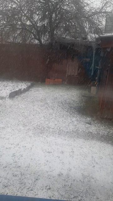 Пришла зима😥 Ленинградская область 26.04.2026