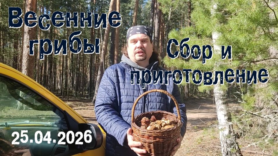 Весенние Грибы (сбор и приготовление) 25.04.2026