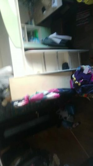 happy birthday to my