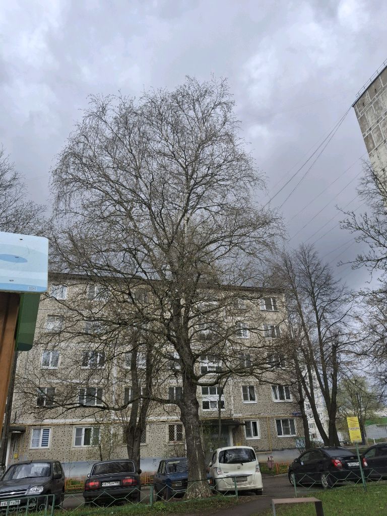 я же обещал