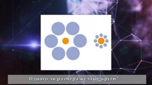 Оптические Иллюзии  -Не верь глазам своим