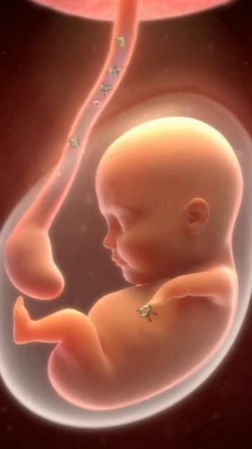 ТАЛИДОМИДОВАЯ ТРАГЕДИЯ!