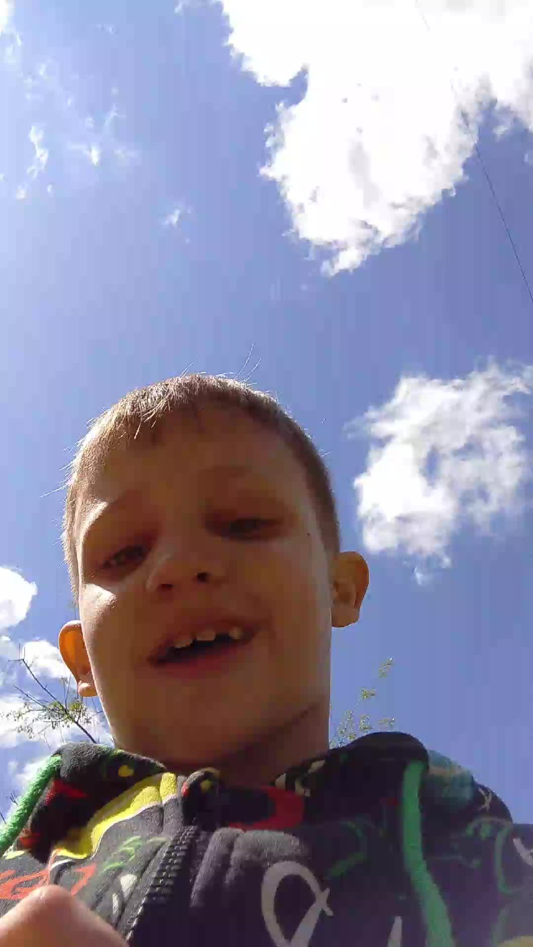 пугаем миллион голубей