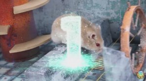 Приключения хомячков — открываем для себя самые удивительные страны мира! часть 8