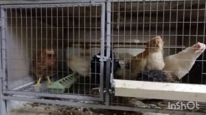 26-04-2026 День ЧП 🤨.